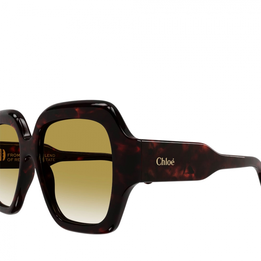 lunettes-de-soleil-ch0154s-002 lunettes-de-soleil-ch0154s-002