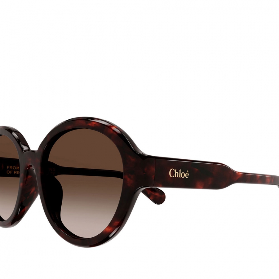 sonnenbrille-ch0156sk-002 sonnenbrille-ch0156sk-002