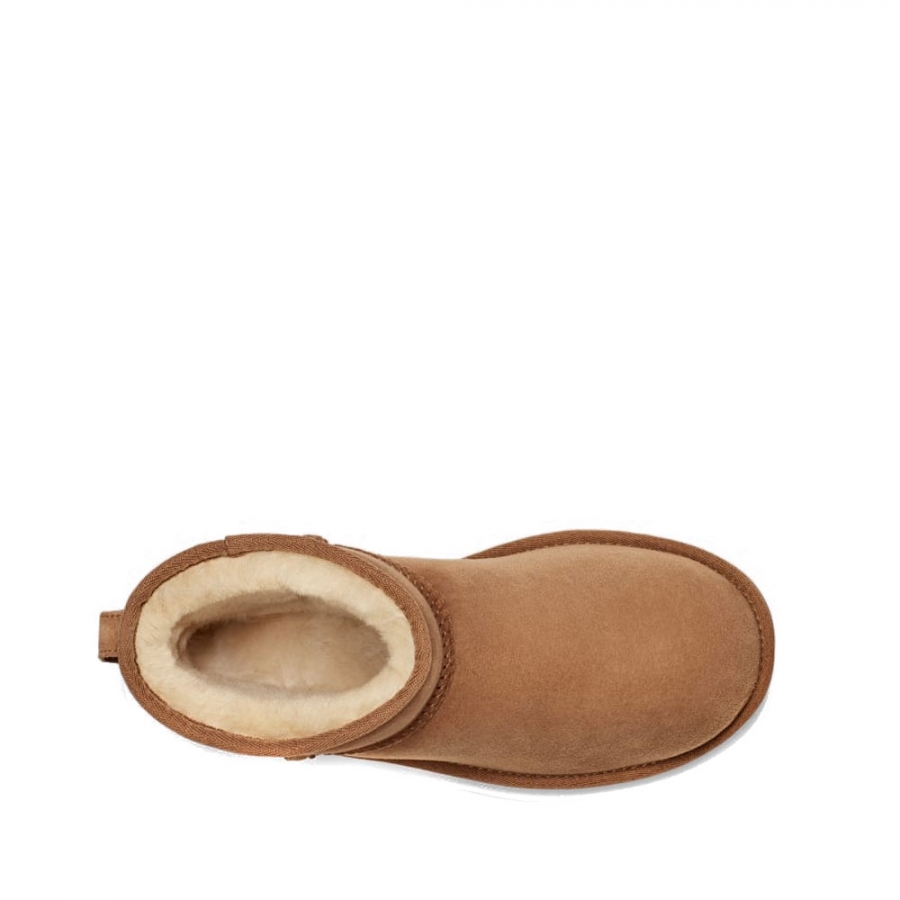 classic-mni-ii classic-mni-ii