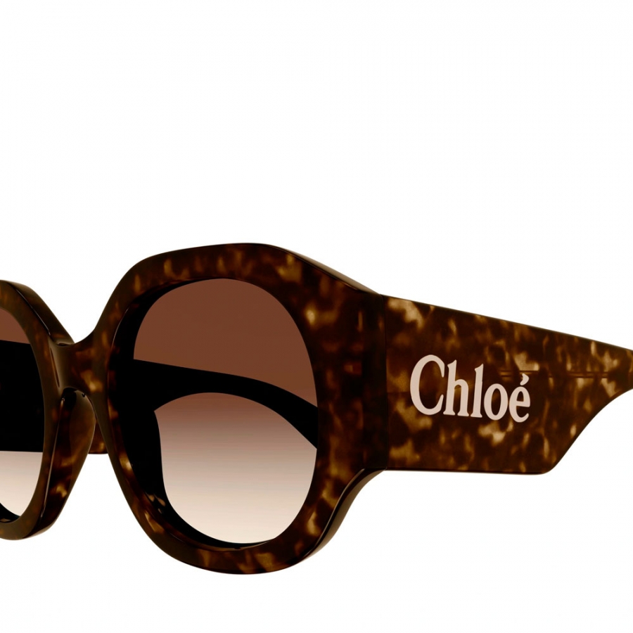 ch0234s-occhiali-da-sole-avana ch0234s-occhiali-da-sole-avana
