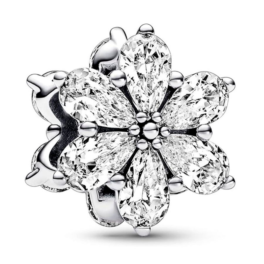 charm-herbario-brillante-792623c01 charm-herbario-brillante-792623c01