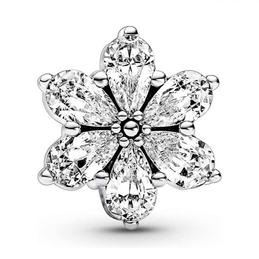 brillant-charme-a-base-de-plantes-792623c01 brillant-charme-a-base-de-plantes-792623c01