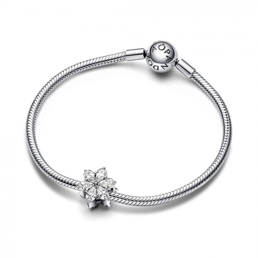 charm-herbario-brillante-792623c01 charm-herbario-brillante-792623c01