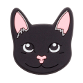 BLACK CAT
