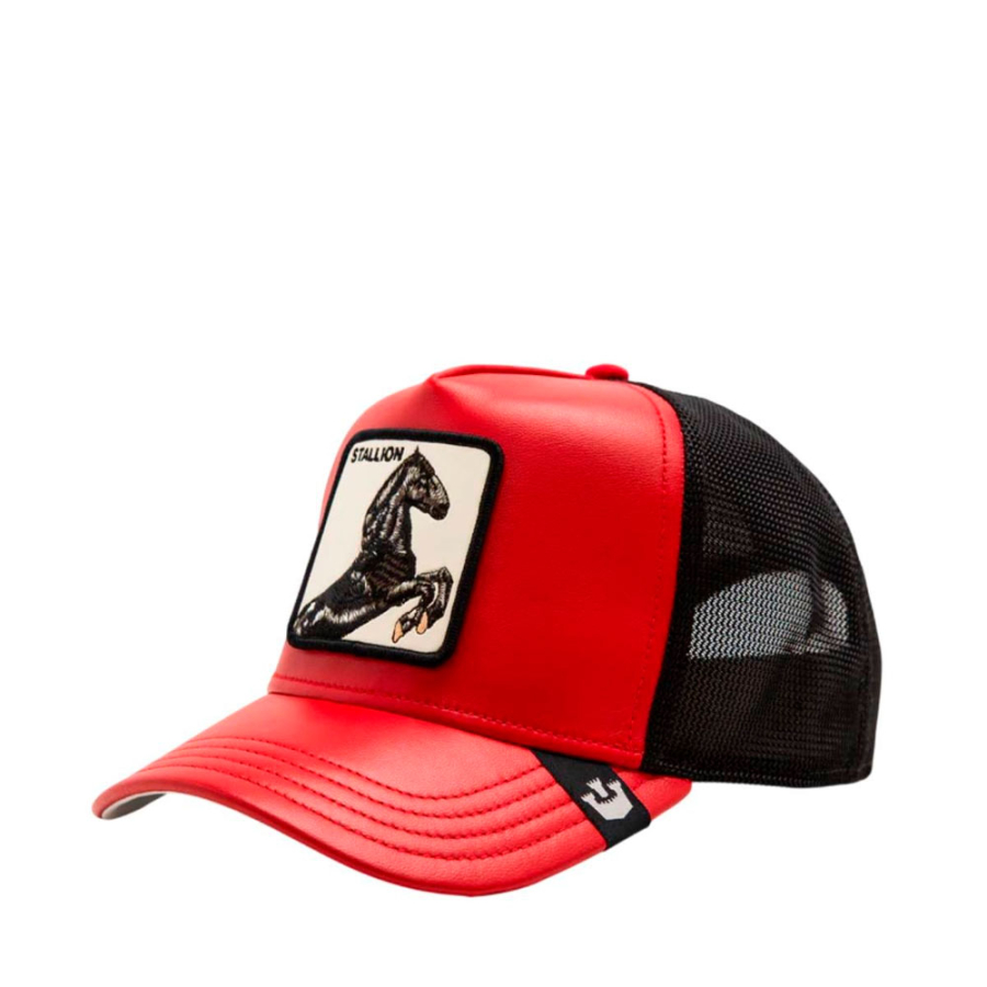 casquette-d-etalon-en-cuir casquette-d-etalon-en-cuir