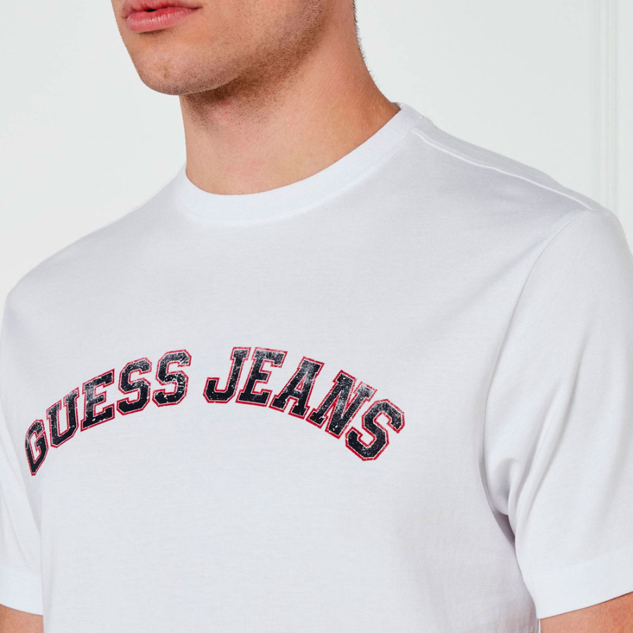 t-shirt-collegiata t-shirt-collegiata