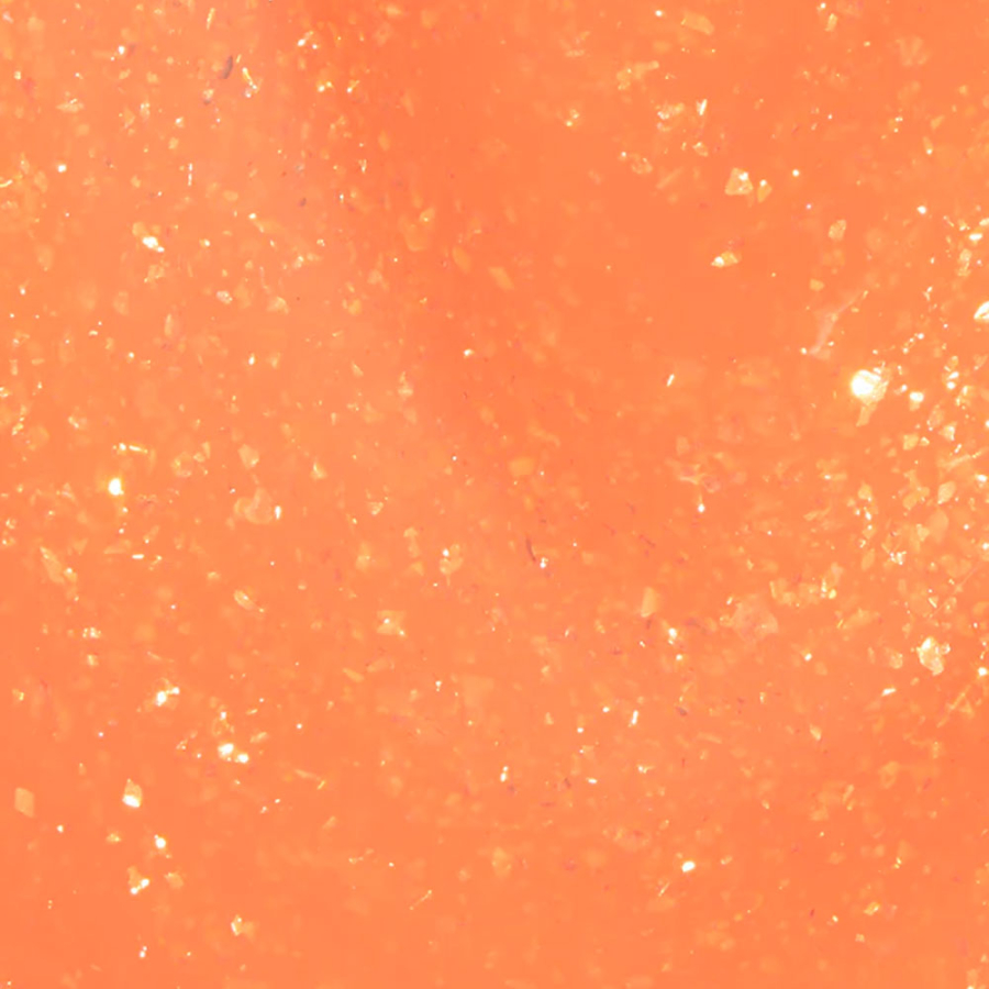 dreamsicle dreamsicle