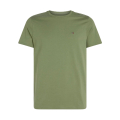 MR6-ARUBA GREEN