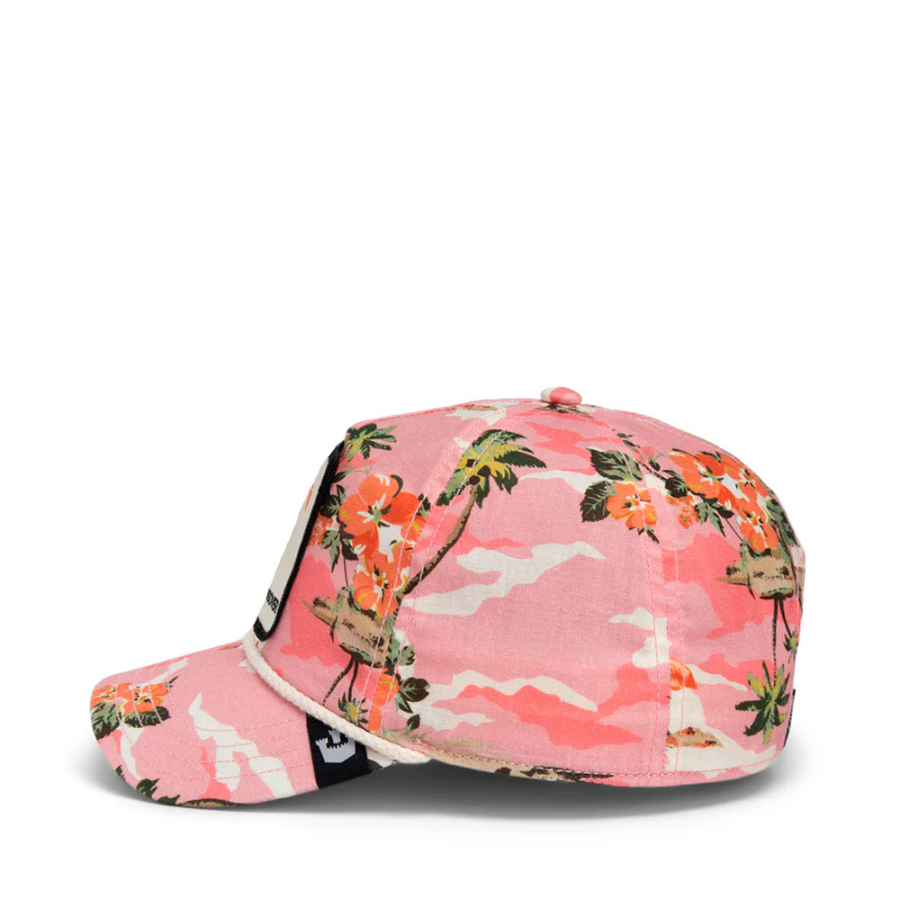 cappellino-randy-souse cappellino-randy-souse