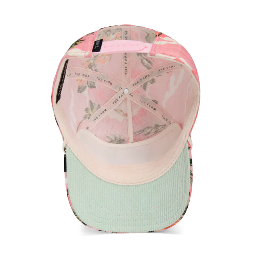 cappellino-randy-souse cappellino-randy-souse