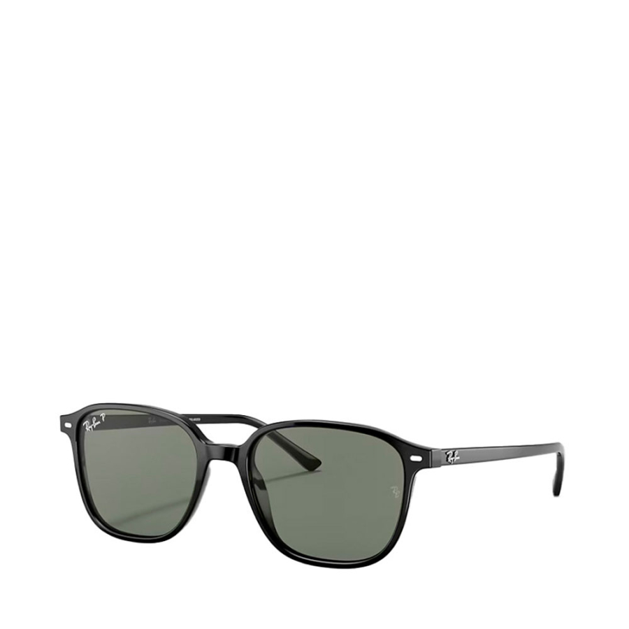 leonard-sunglasses-0rb2193 leonard-sunglasses-0rb2193