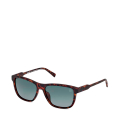 52D-BROWN