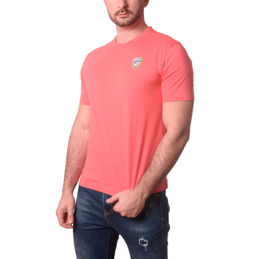 camiseta-con-logotipo-gommatofaxon