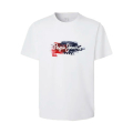 800-WHITE