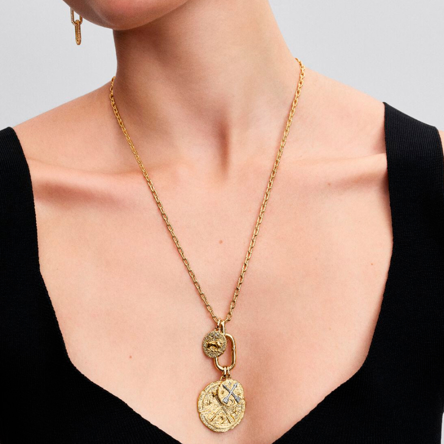 lion-medallion-charm lion-medallion-charm