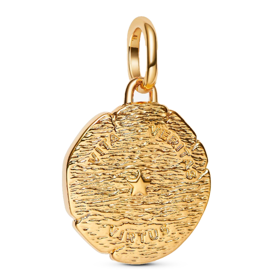 lion-medallion-charm lion-medallion-charm