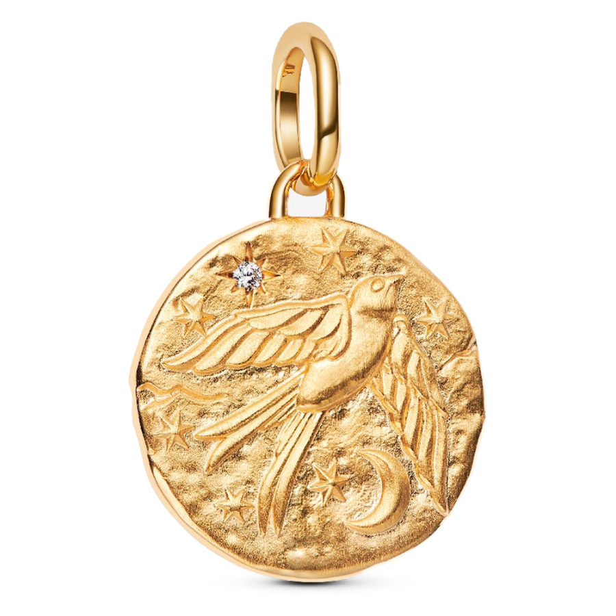 pingente-medalhao-de-andorinha pingente-medalhao-de-andorinha