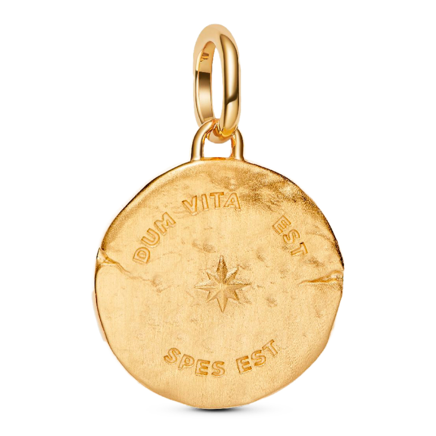 swallow-medallion-charm swallow-medallion-charm