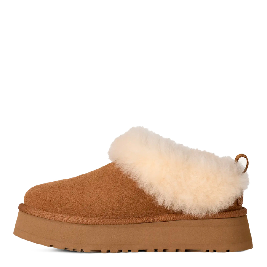 tazzelle-sneaker tazzelle-sneaker