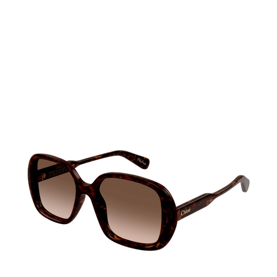 sunglasses-ch0222s sunglasses-ch0222s