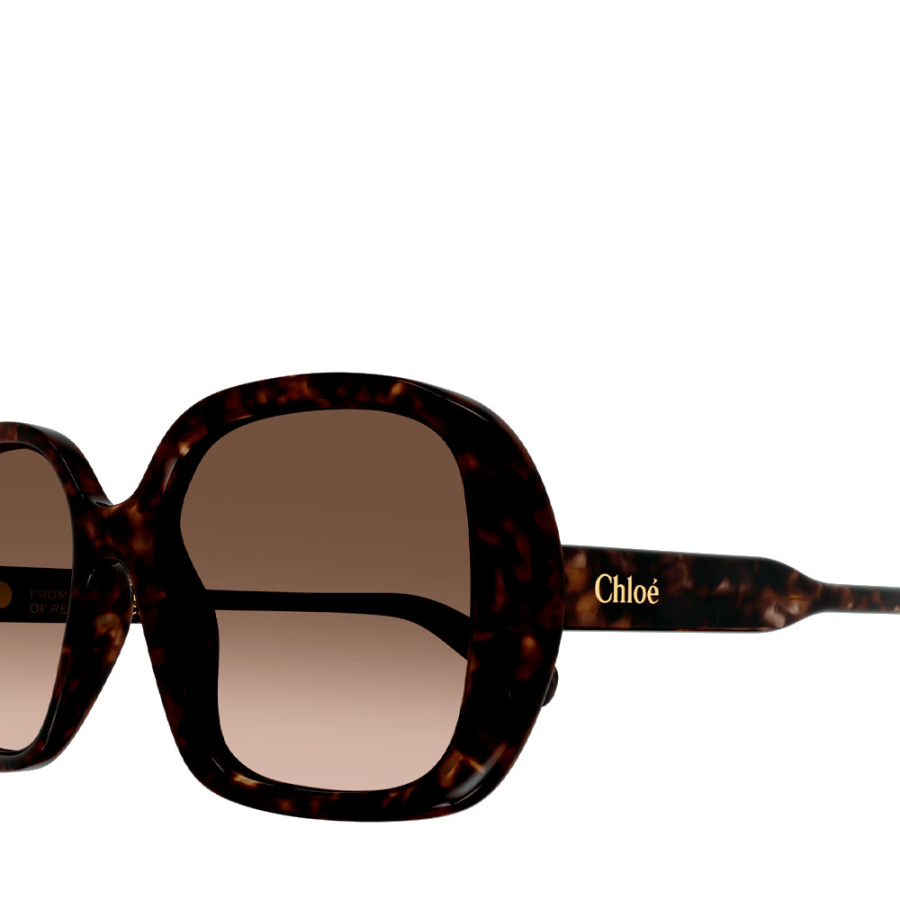 lunettes-de-soleil-ch0222s