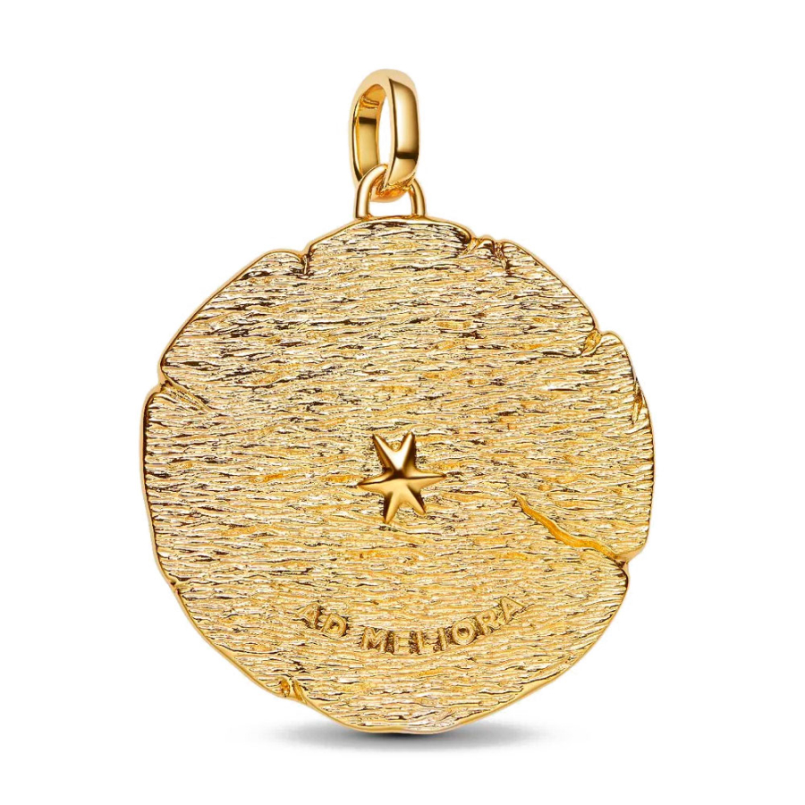 charm-medallon-grande-flechas-cruzadas-764084c01