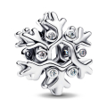 SILVER SILVER