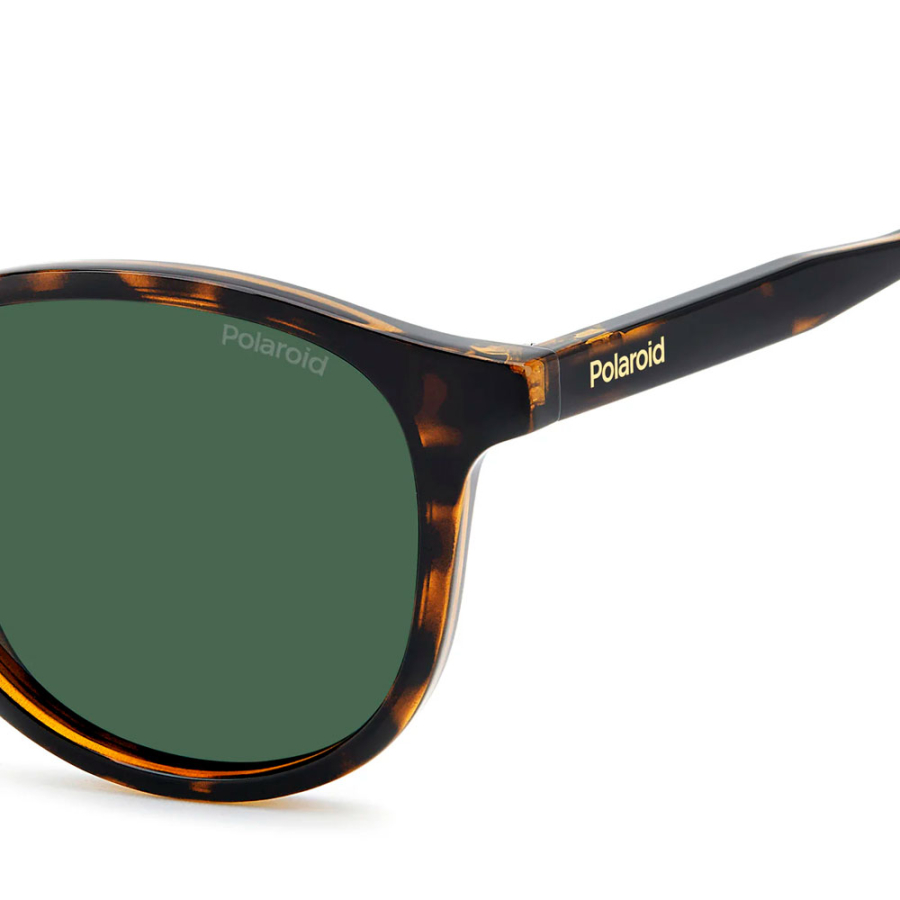 lunettes-de-soleil-pld-4191-s lunettes-de-soleil-pld-4191-s