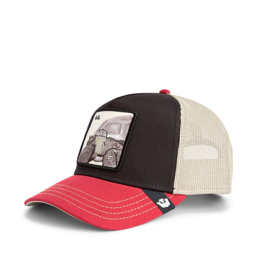 bone-tricolor-tortiouse bone-tricolor-tortiouse