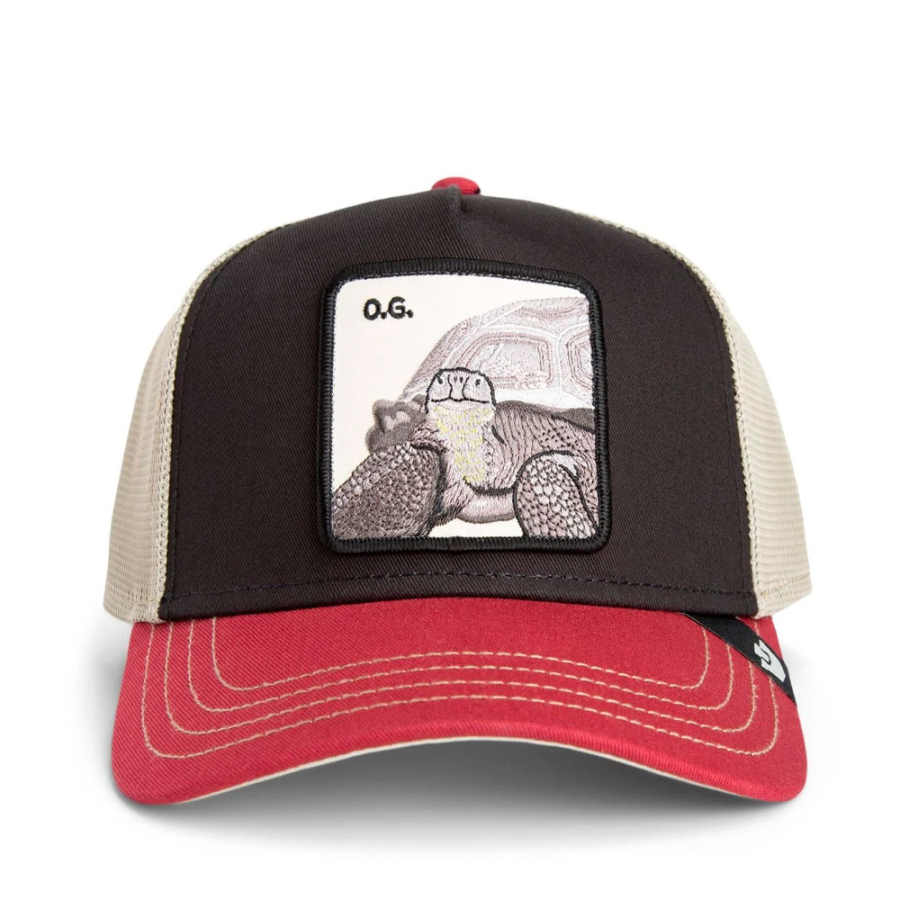 tricolor-tortiouse-cap tricolor-tortiouse-cap
