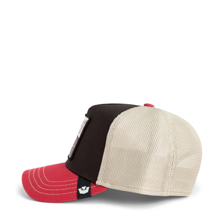 casquette-tricolore-tortue casquette-tricolore-tortue
