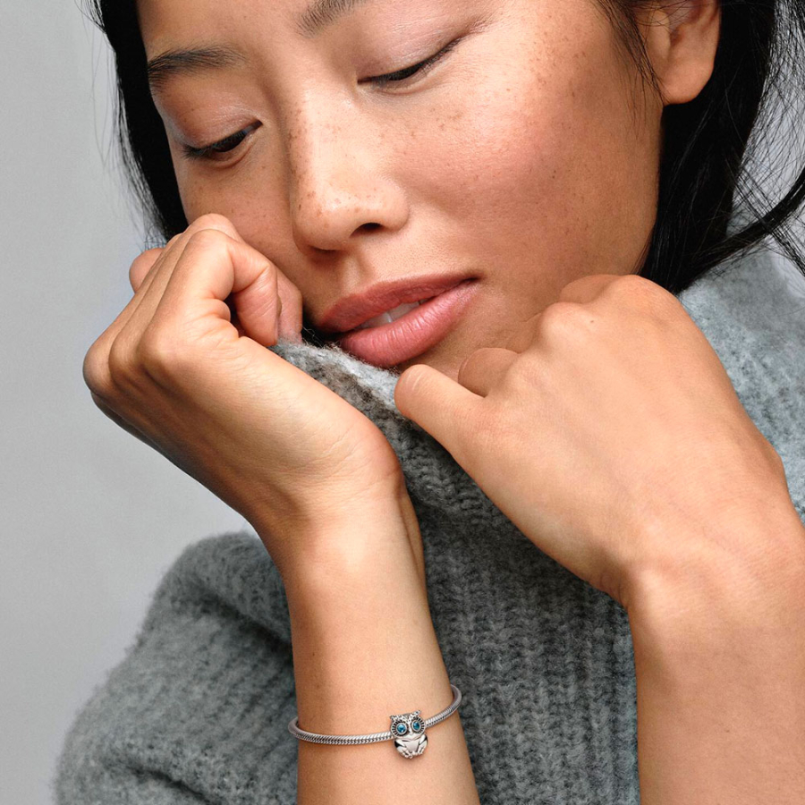 charm-buho-reluciente-798397nbcb charm-buho-reluciente-798397nbcb