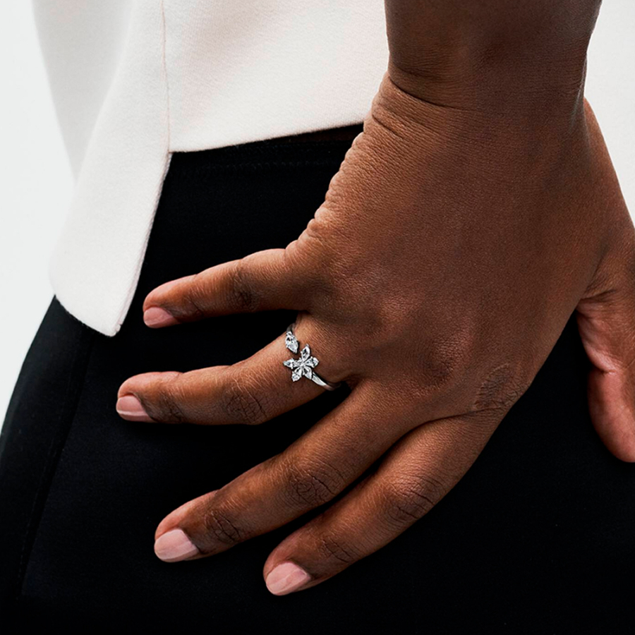 offenes-ringherbarium-brilliant-192611c01 offenes-ringherbarium-brilliant-192611c01