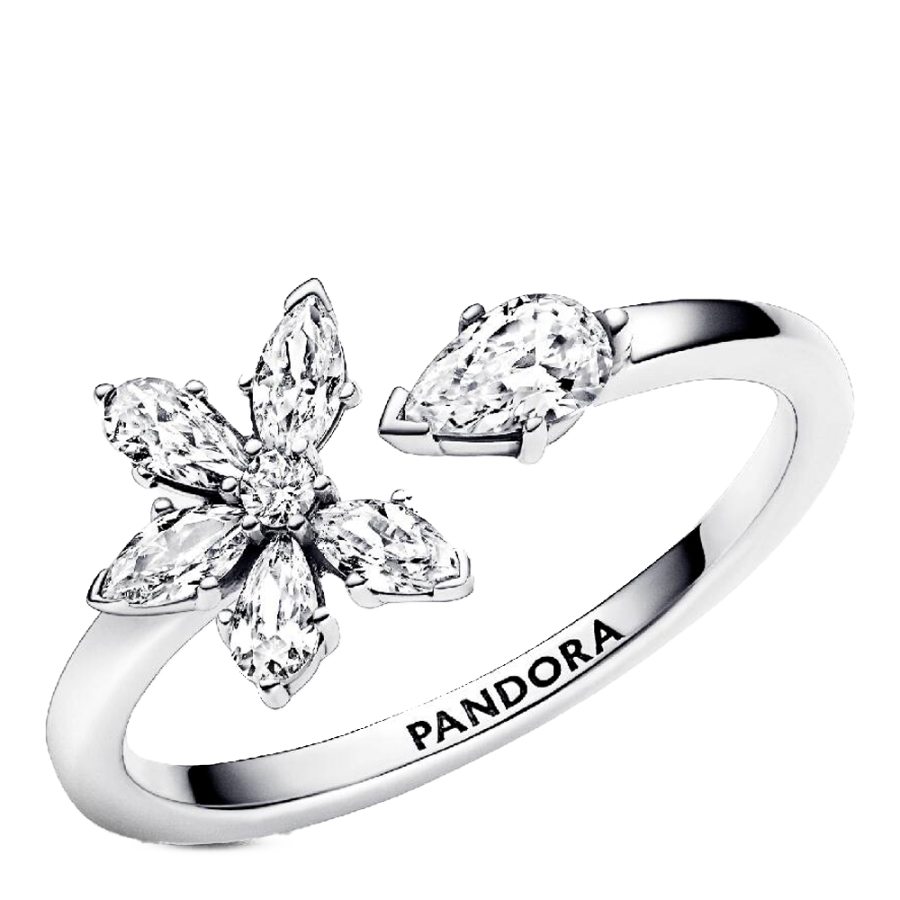 offenes-ringherbarium-brilliant-192611c01 offenes-ringherbarium-brilliant-192611c01