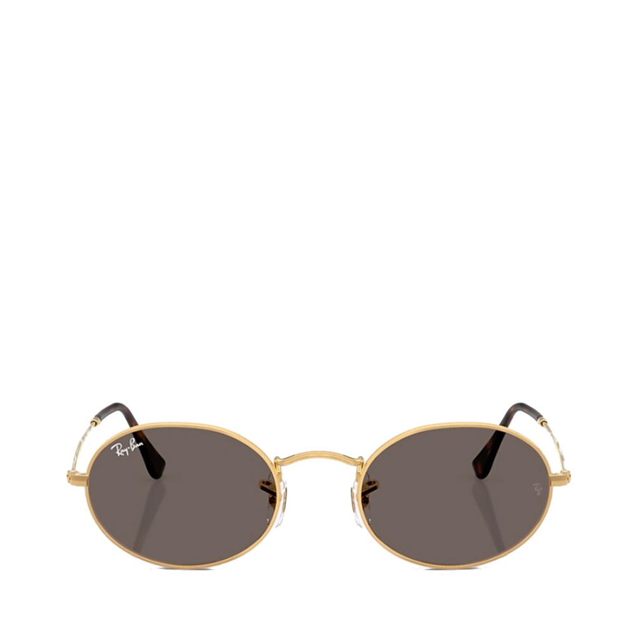 lunettes-de-soleil-ovales-0rb3547n