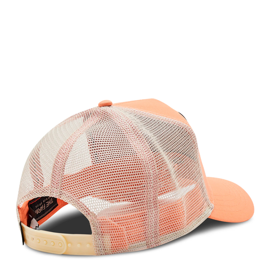 o-bone-da-abelha-rainha o-bone-da-abelha-rainha