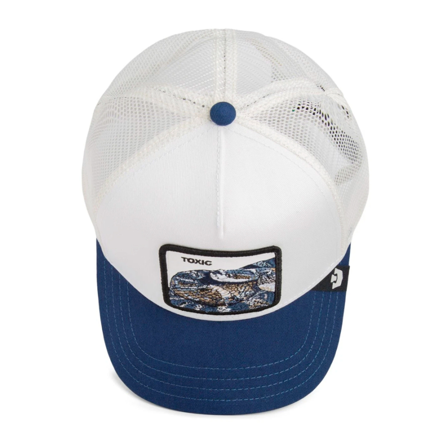 tampa-toxica tampa-toxica