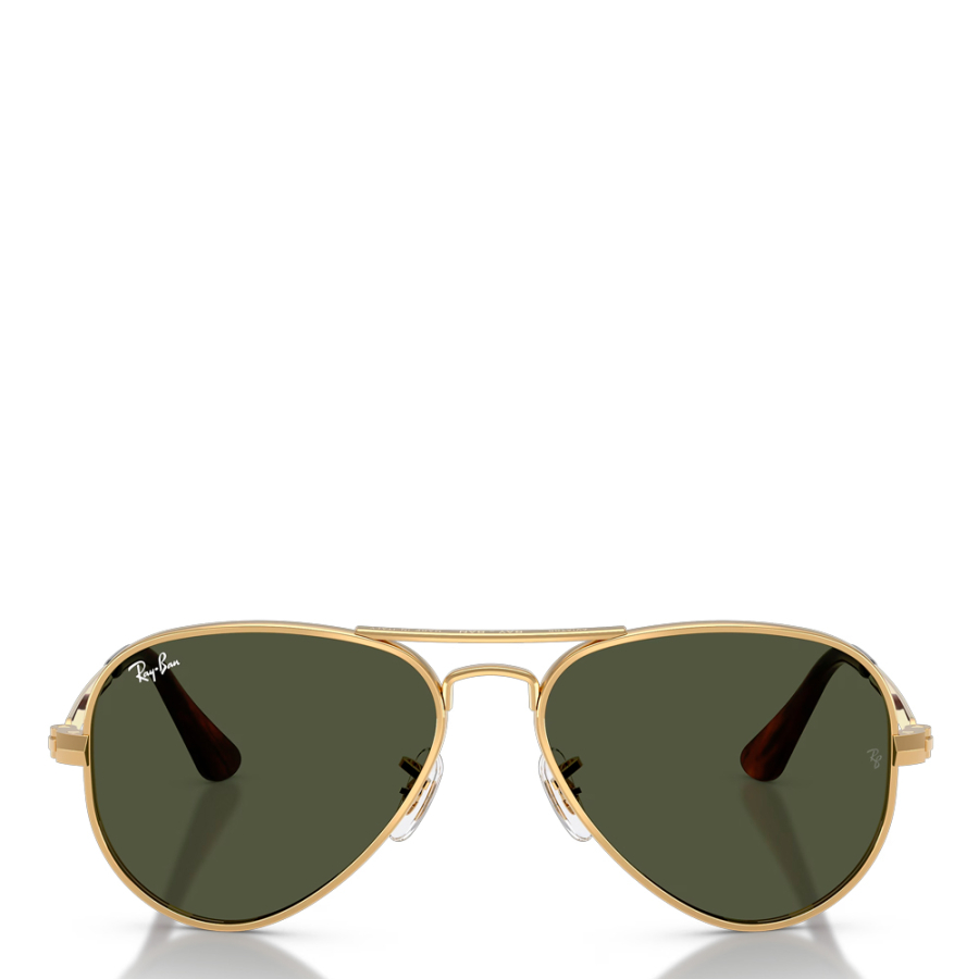aviator-max-sunglasses
