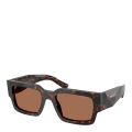 17N06B-ROOT TORTOISE/DARK BROWN