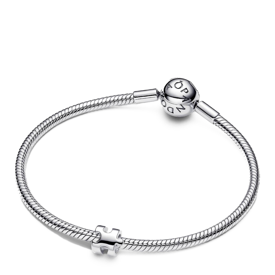 charm-mini-puzzle-piece