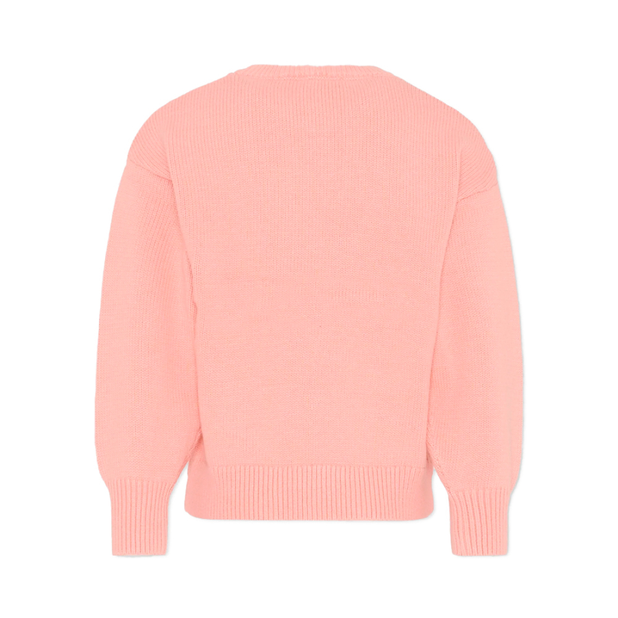 kids-tiger-logo-jersey