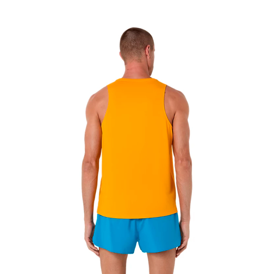 regata-core-singlet