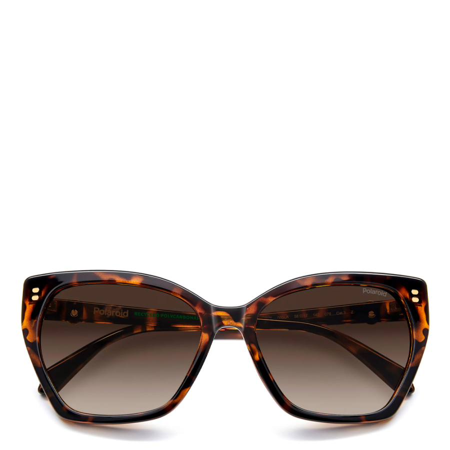 gafas-de-sol-pld-4198-s-x