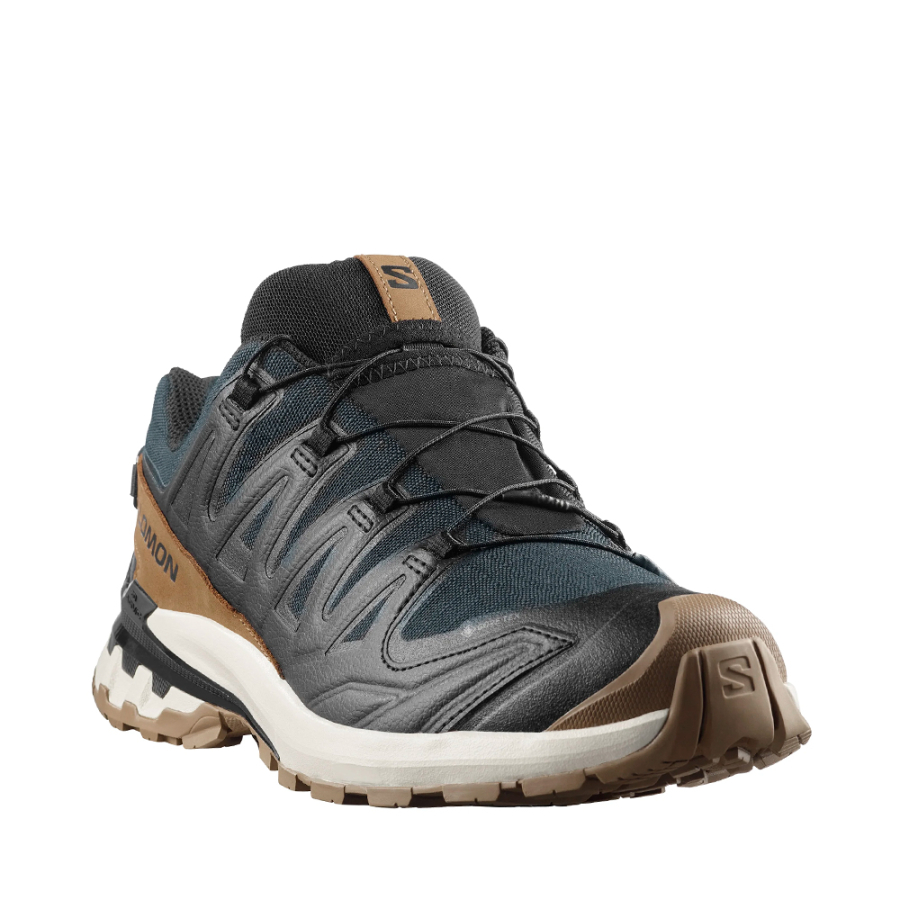xa-pro-3d-v9-gore-tex-lifelong-shoes
