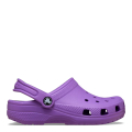 510.-PURPLE