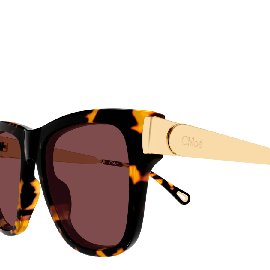lunettes-de-soleil-ch0349s