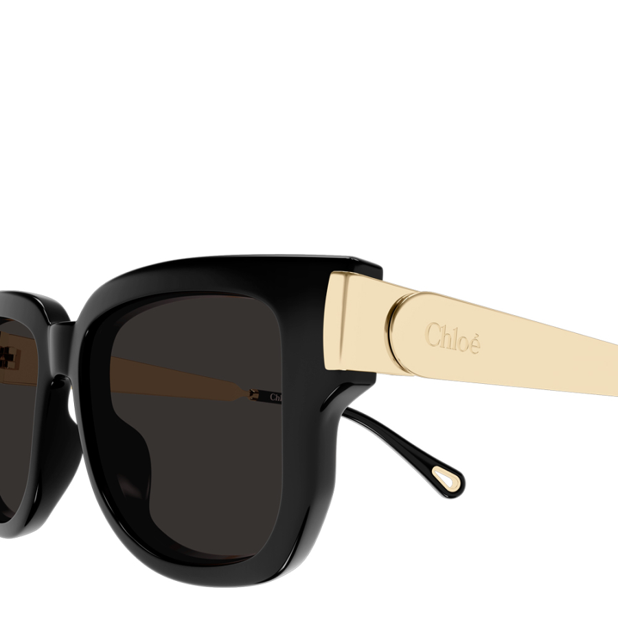 sunglasses-ch0351s