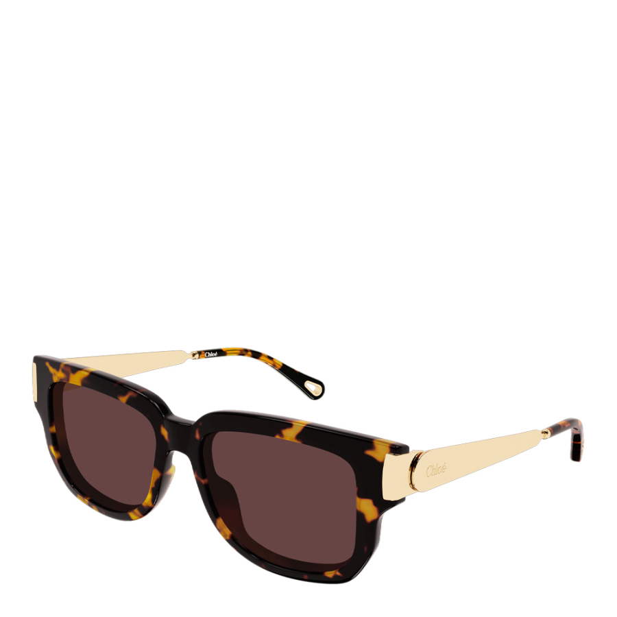 sunglasses-ch0351s