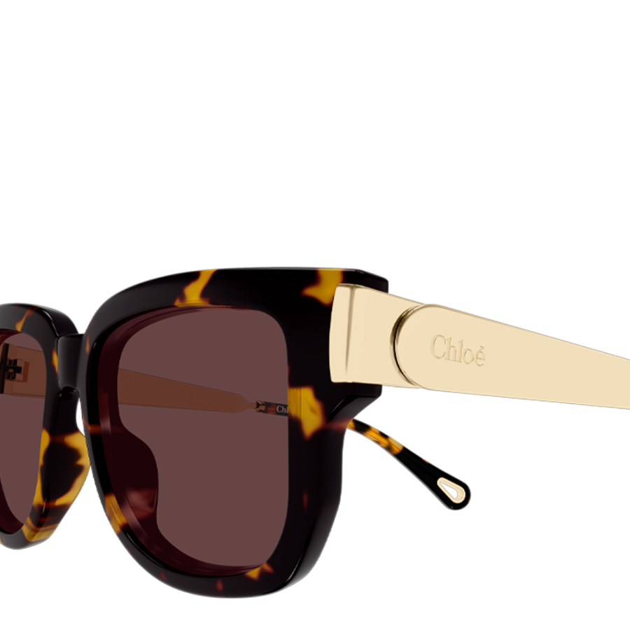 lunettes-de-soleil-ch0351s