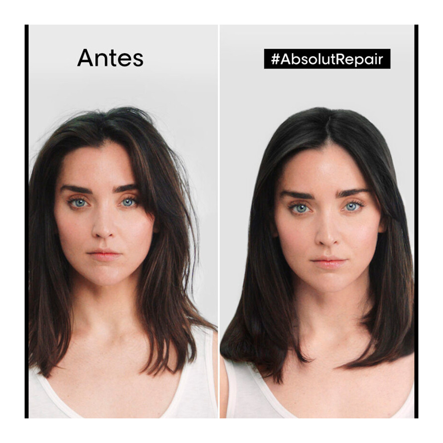 absolut-repair-shampoo